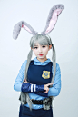 疯狂动物城 朱迪 cosplay | 半次元-第一中文COS绘画小说社区