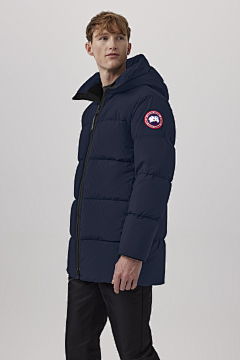 汀一一采集到canada goose