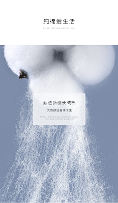 小鱼669采集到纤维