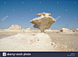 mushroom-shaped-rock-formation-in-the-white-desert-egypt-G3TXJ3.jpg (1300×956)