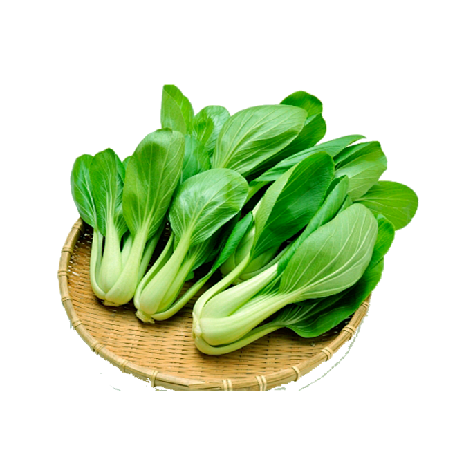 蔬菜青菜45