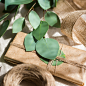 掬涵INS仿真尤加利叶圆叶桉绿植装饰花艺北欧干花摆件-tmall.com天猫