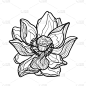 hand drawn doodle lotus flower