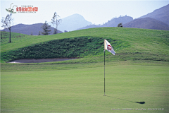 小花xiaohua采集到高尔夫球