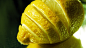 citrus cut food fruits lemons 