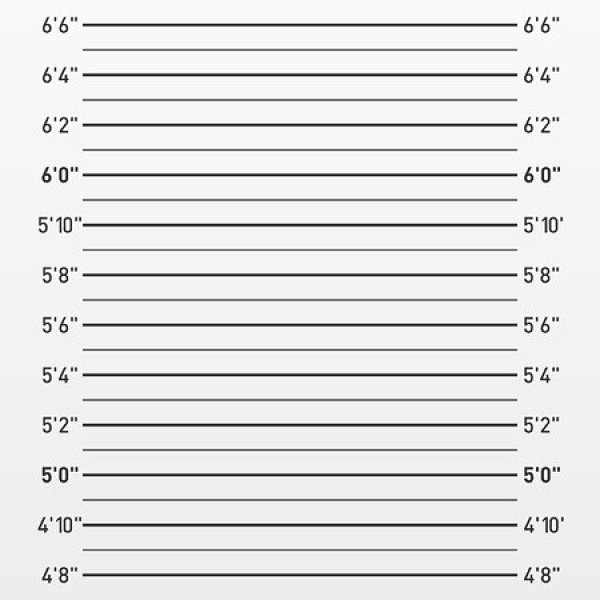 mugshot背景图入监拘留背景素材