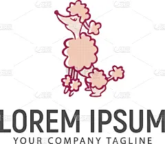 狗,品牌名称,贵宾犬,宠物,动物手,可爱的,纯种犬,简单背景,站,绘制