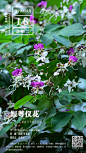 中国科学院西双版纳热带植物园