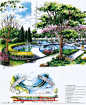 手绘景观效果图设计图   景观设计  环境设计    园林  水景 绿化 喷泉  植物