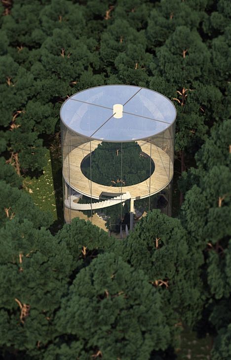 tree in house - glas...