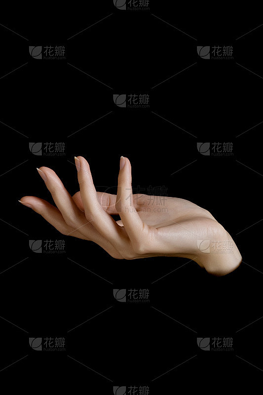 白色背景上的女性手