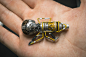 enewgard_Destiny 2 Exotic Miniatures_qAAeoP 1539806907eric-newgard-38598591522-977b2aa497-o