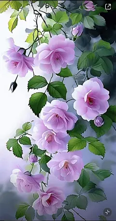 花草集 - 高清图片，堆糖，美图壁纸兴趣社区