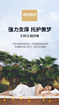 寝睡床垫天然乳胶独立弹簧床垫软硬两用3E环保椰棕家用席梦思批发