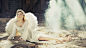 Fallen Angel TagNotAllowedTooSubjective angels barefoot blondes wallpaper (#1920766) / Wallbase.cc