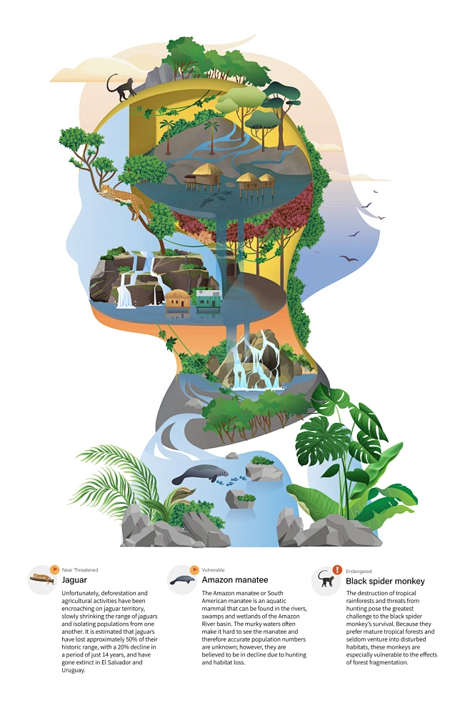 The conservation work-花瓣网