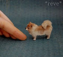 #行走的艺术# 活灵活现的小萌物，美国雕塑家 Reve 用粘土和纱线再加手绘完成的指尖萌物~ ​​​​