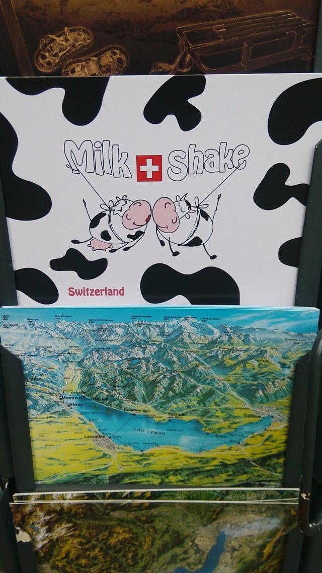 瑞士就是有好多的奶牛,王