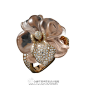  珠宝界的兰花大师 - Cartier，最常将兰花作为创作灵感，以简约的线条组合，运用各式宝石及金属材质搭配，塑造出千变万化的兰花姿态