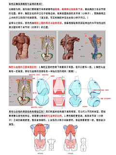 涡来守狐采集到tentenxhs