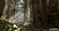 andrew-hamilton-forest-01-01
