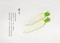 手绘蔬菜-再来一波健康的蔬菜_董搞搞__插画师作品_涂鸦王国gracg.com