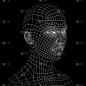 三维图形,人的头部,接线框,计算机,一个物体,背景分离,肖像,一个人,技术,网络空间