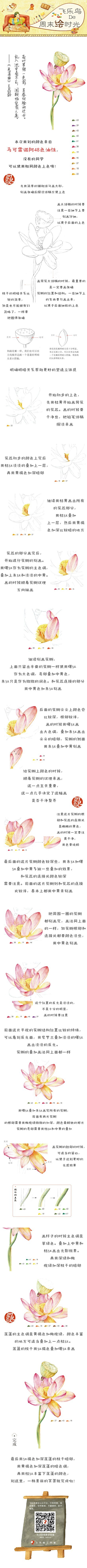 xuefeicitroen采集到飞乐鸟教程