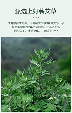 心如止水Water采集到素材-植物/花/树叶