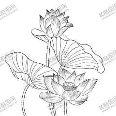 荷花素材 【酷图网】荷花素材,手绘荷花,荷叶,手绘荷叶,国潮荷花,古典荷花,古风荷花,中国风荷花,手绘古风荷花,荷花插画,荷叶插画,荷花荷叶插画,中国风,夏日素材,夏天,清廉荷花,荷花背景,荷花海报,立夏,立夏背景,立夏海报,夏至海报,夏至背景,夏天背景,夏天海报,夏天素材,古风夏天背景,立夏素材,夏至素材