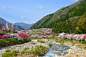 长野县,日本,桃花,泉,美,里山,旅游目的地,水平画幅,地形,无人