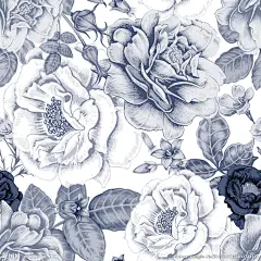 墨花