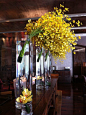 Spray of golden yellow orchids in tall cylindrical vases @Four Seasons Hotel Hong Kong. So dramatic!: 