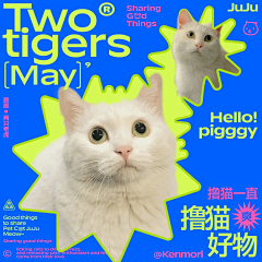 艾凌子采集到扁平化设计