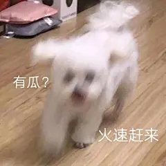 我的第三十八期原创表情包

好久没发原创表情包了，你们是不是都快忘了其实我还是一个创作型表情包博主 ​​​​