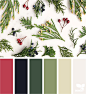 Color Season | Design Seeds : { color season } | image via: @bottlebranch