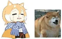 二次元柴犬表情包：可爱的柴柴、贱贱的柴柴，那个是你的最爱呢？ : 之前特别火的柴犬表情包被娘化，这些可爱的柴柴、贱贱的柴柴，那个是你的最爱呢？ 给你个美臀照你要不要？ …
