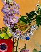 @bulgari Photo by BVLGARI Official on October 24, 2022