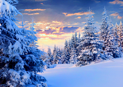 绿色的希望采集到雪地背景