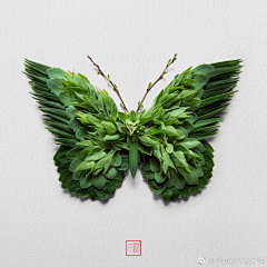 拉普花园采集到图形