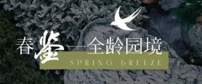 截屏2025-01-06 11