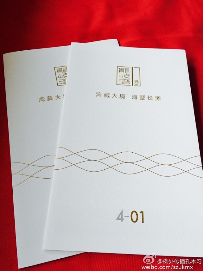 #龙岐湾1号#深圳特区內唯一在售私家海滩...