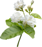 0ce3fd6ffaeeba82d907c75ed6952e4d4138179f1dc4d8-iK1NGy_fw1200