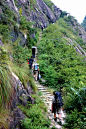 位于清凉峰国家级自然保护区北侧，北靠黄山，南依天目山，西起安徽省宣城市绩溪县伏岭镇，东至浙江省临安市马啸乡，全长15公里。是古时联系徽州与杭州的重要纽带，保存最完整的一段是绩溪县境内的盘山石阶小道，是徽杭古道的精华所在。