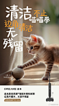 @追觅科技 的个人主页 - 微博