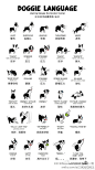 小狗狗的肢体语言，原来也可以这么容易读懂小豆豆的心啊 (via 创意工坊)