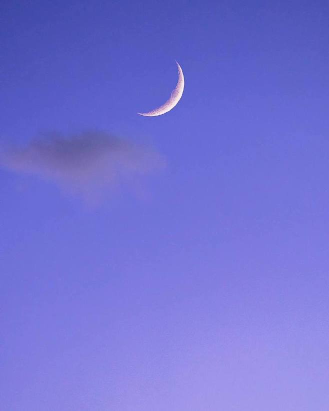 Moon ^月