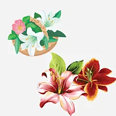 花篮_新图网 https://ixintu.com 植物 花卉 花草 手绘花卉