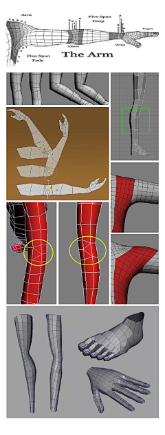 项|羽采集到3D建模