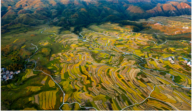 高坡梯田